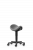 Стулья для лабораторий Bimos Laboratory Saddle Stool