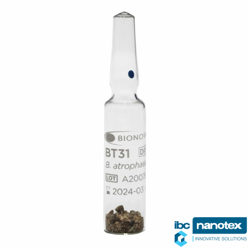 BT31 Биоиндикатор. 72 часа. Воздушная стерилизация (сухожаровая). Bionova