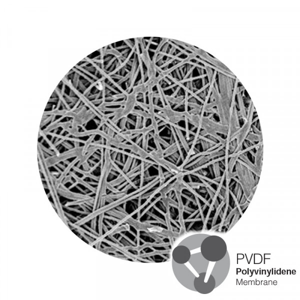 Мембраны из поливинилиденфторида (ПВДФ) - Гидрофильные