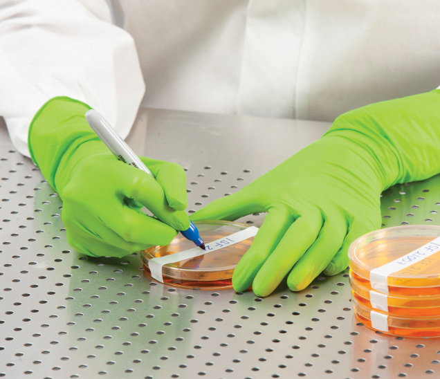 Новинка на рынке: Isofield Gecko 20830 — перчатки, которые работают как инструмент управления рисками