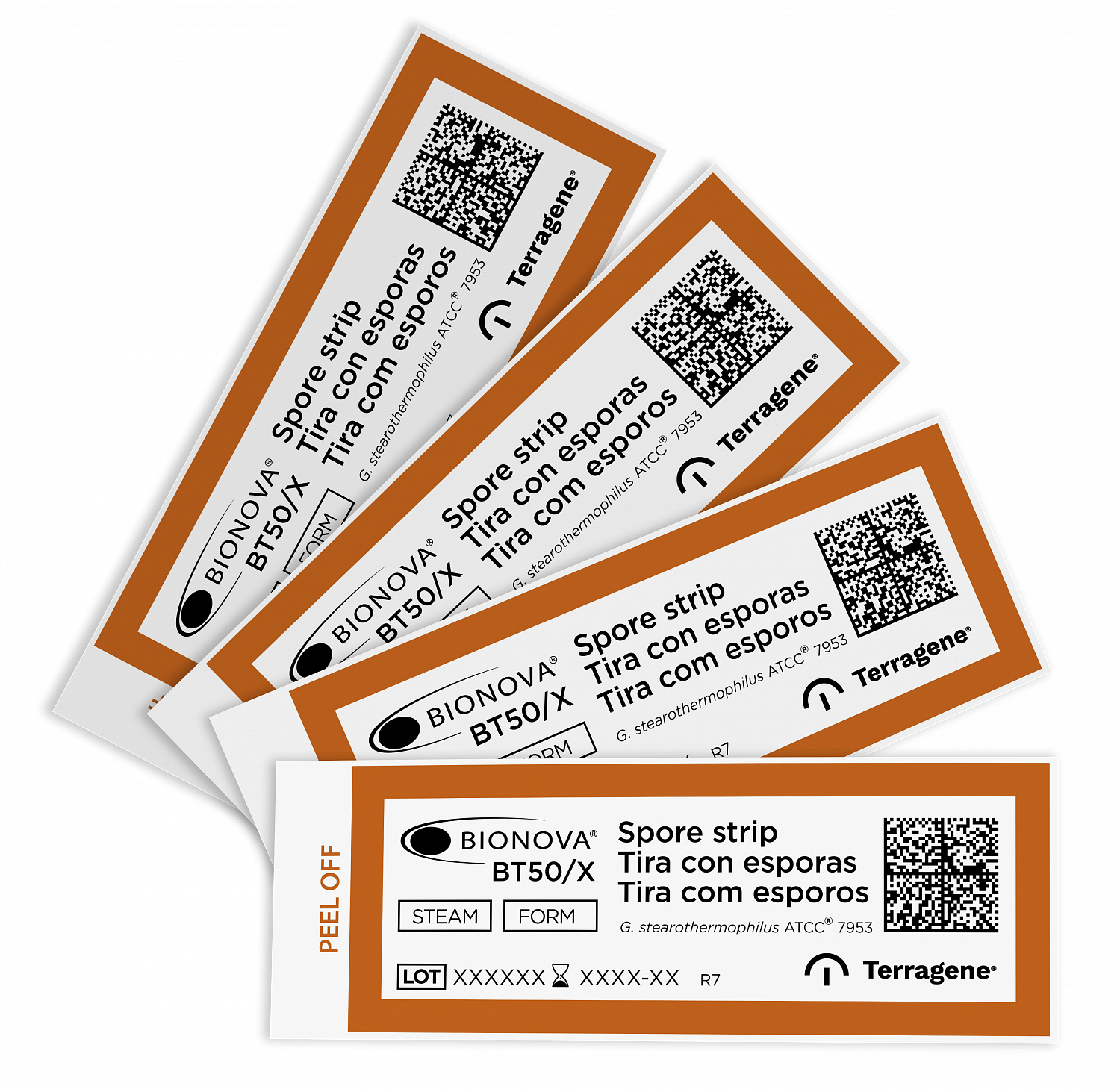 IBC Nanotex расширяет линейку контроля стерилизации: биоиндикаторы Terragene Bionova уже в каталоге